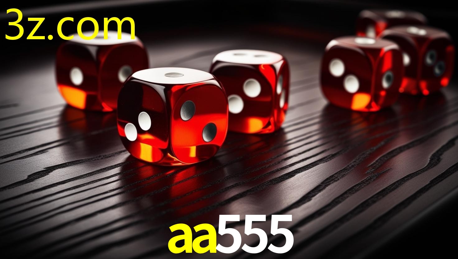 AA555.COM