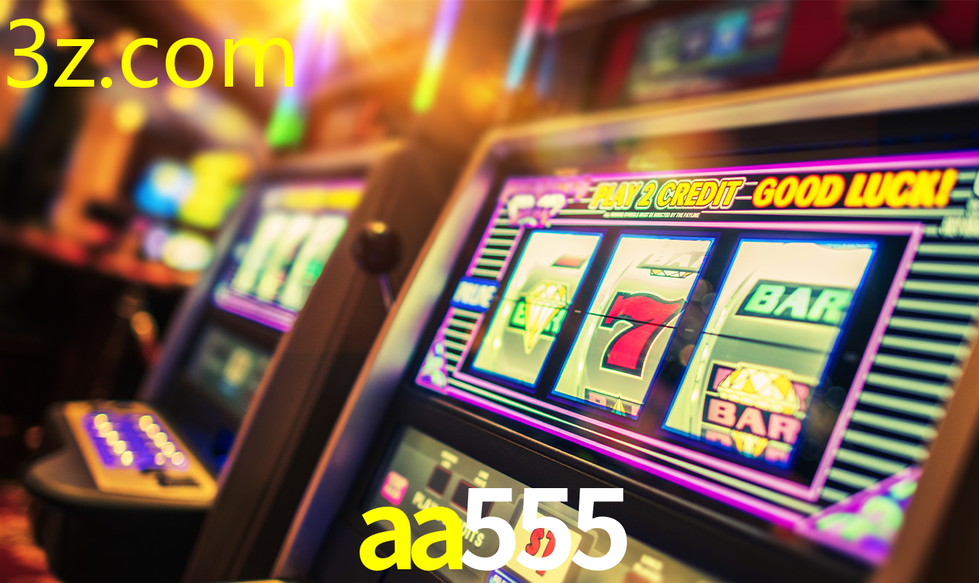 AA555.COM