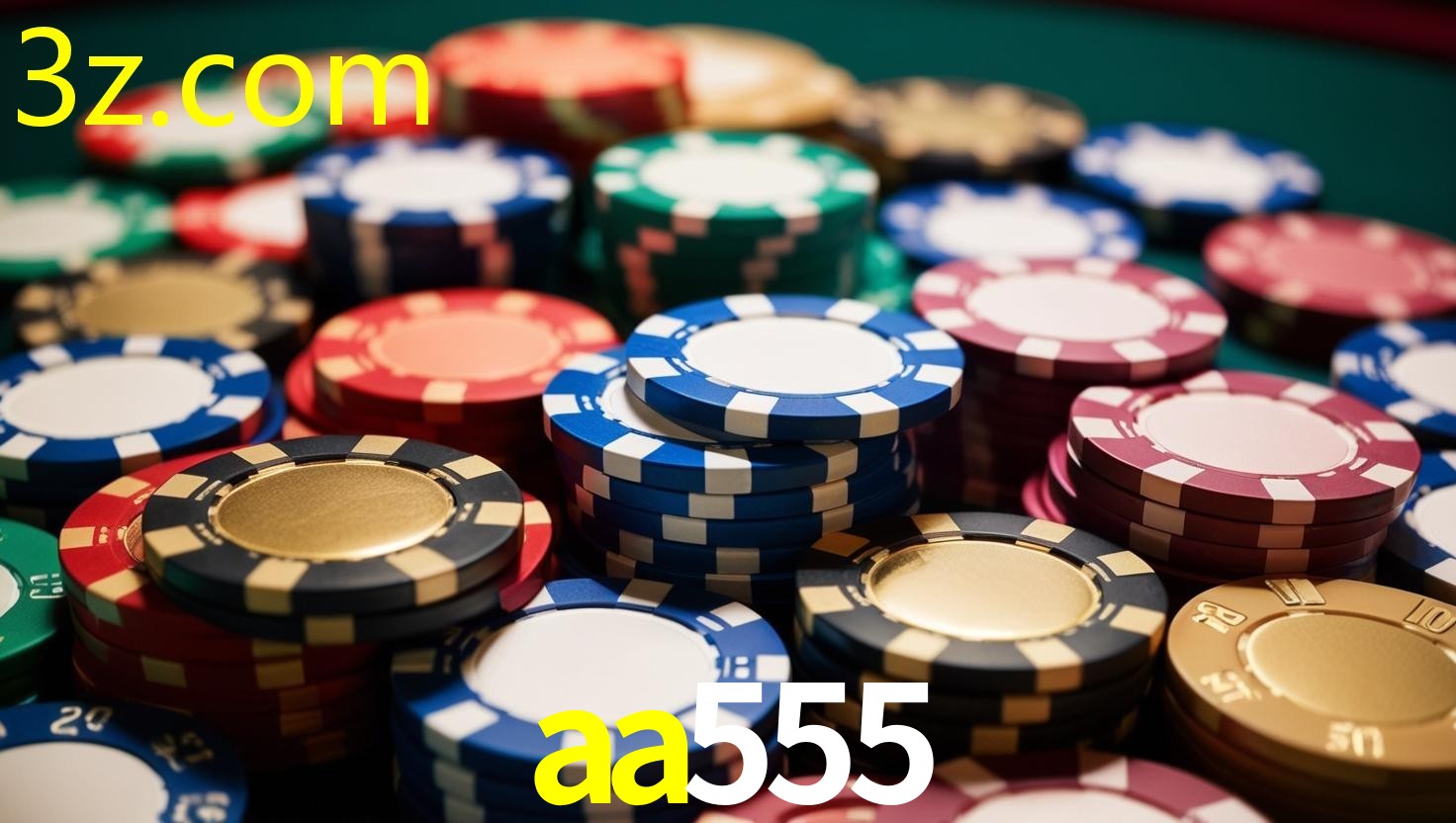 AA555.COM